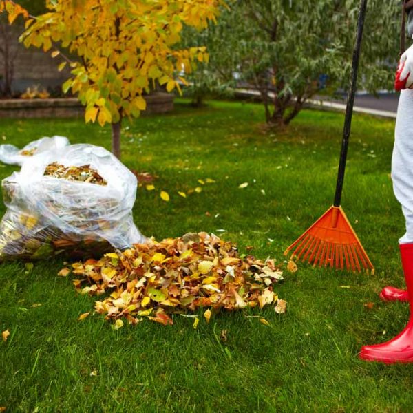 woman-raking-leaves-fall-clean-up-lawncare-custom-kansas-city
